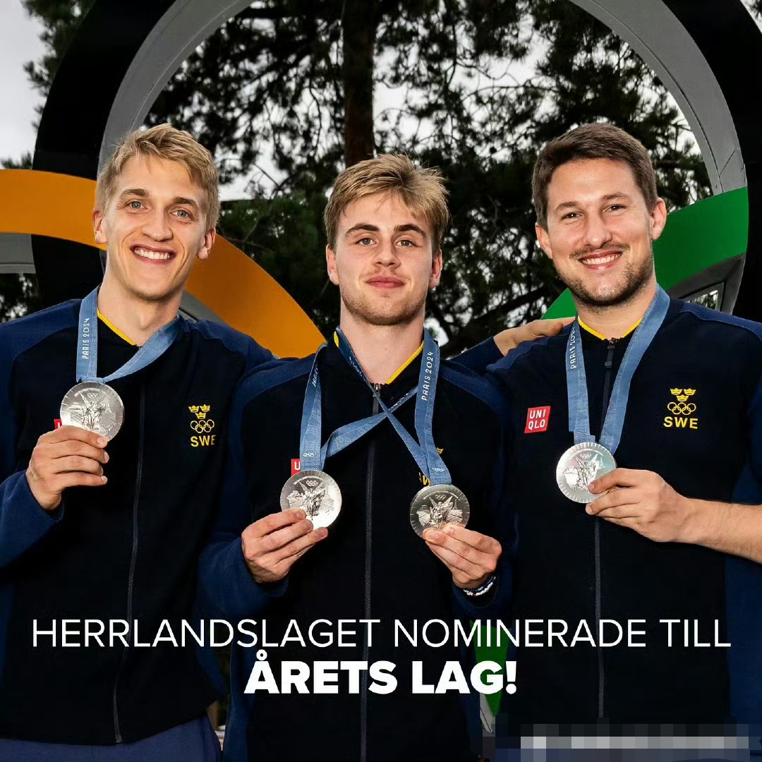 爱游戏入口-瑞典队逆转奥地利队，林高远扛起全队